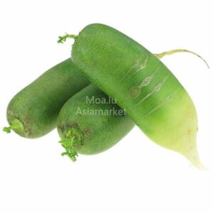 Green Radish 青萝卜