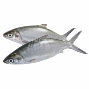 Frozen Milk Fish