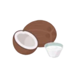 Coconut milk